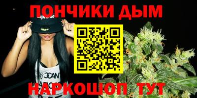 дмт Славгород