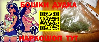 дмт Славгород