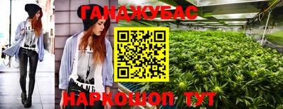 дмт Славгород