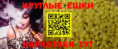 дмт Славгород
